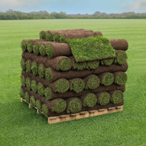 Fresh rolls of TurfWorld Signature Turf